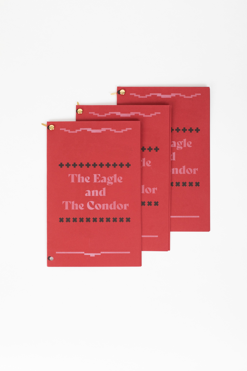 The Eagle and The Condor Series