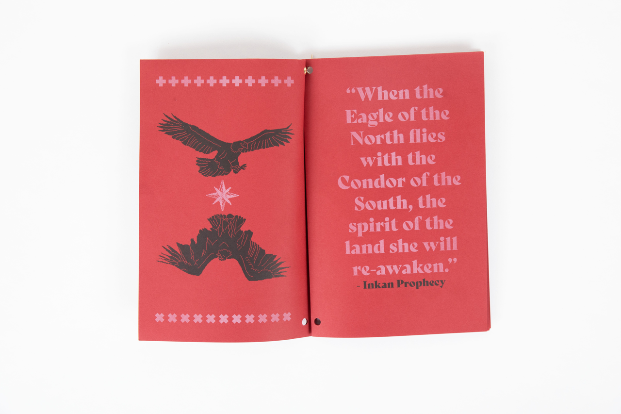 The Eagle and The Condor Series